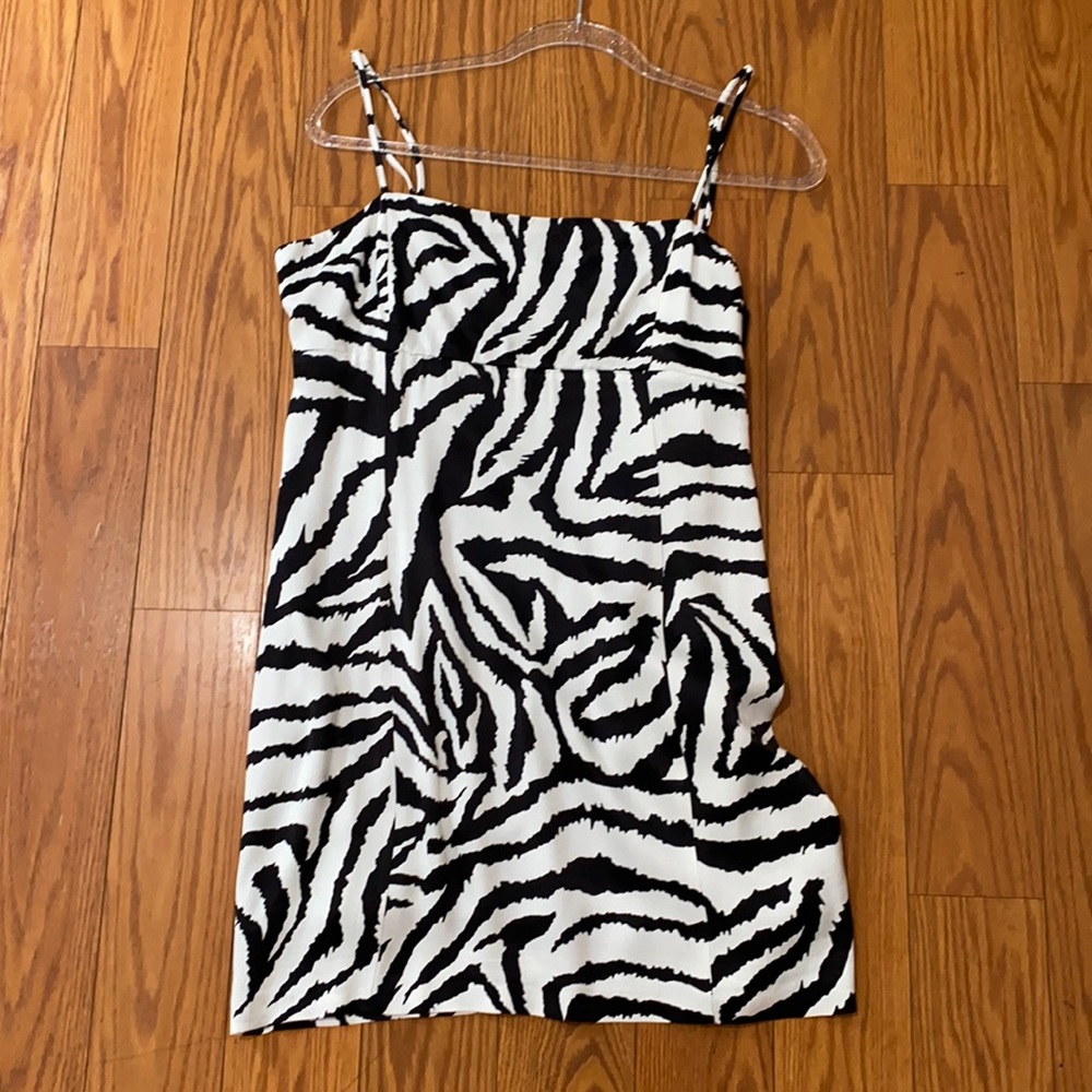 Zebra Zara dress